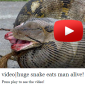 Man-Eating Snake Scam Hits Facebook, Spreads to Twitter