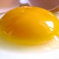 Man Eats 28 Raw Eggs in Daring Bet, Dies