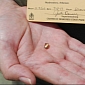 Man Finds 2.95-Carat Brown Patriot Diamond at Crater of Diamonds State Park