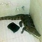 Man Shocked to Find a Crocodile in His Shower
