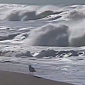 Man Swept to Sea in California, Was Trying to Save His Dog