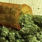Man Texts His Probation Officer to Ask for Some Marijuana