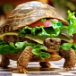 Man Tries to Bring Turtle on Plane in China, Says It's a Hamburger