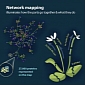 Map of Plant Protein Interactions Created