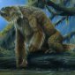 Mapinguary: Amazon Myth or a Living Elephant-Sized Giant Sloth?
