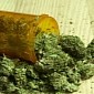 Marijuana Linked to the Death of Two Young Men in Germany