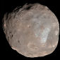 Mars Express Investigates Martian Moon Phobos