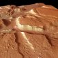 Mars Express Sent Pictures of Unexplained Linear Features in a Tectonic Area on the Red Planet