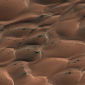 Martian Dune Fields Change at Varied Speeds