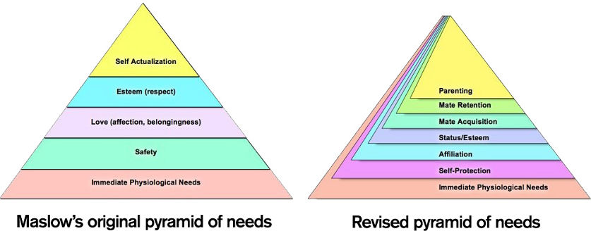 Maslow's Pyramid Revisited, Upgraded
