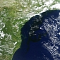 Massive Phytoplankton Bloom Seen Off the Brazilian Coast – Photo