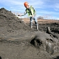 Mastodon Dig Sites Required 'Reinforcements'
