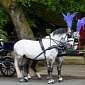 Mayor de Blasio: NY Will Institute Ban on Horse-Drawn Carriages This Year