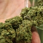 Mechanics Find $12,000 (€8,660) Worth of Marijuana Inside Spare Tire