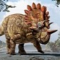 Meet Hellboy, Close Relative of the Feared and Vicious Triceratops