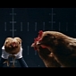 Mercedes-Benz Promotes Body Control with Funny Chicken Ad