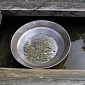 Mercury Poisons Gold-Digging Communities from Developing Countries