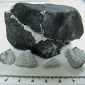 Meteorite Strikes: Doctor's Office Gets Unusual Guest