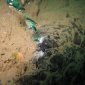 Methane Gas Ocean Emissions Pose no Threat to Environment