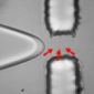 Microdroplets Made to Encase Single Molecules
