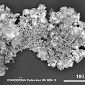 Micrometeorite Bombardments Cooled the Early Climate