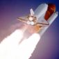 Microscopic Passengers to Hitch Ride on Space Shuttle