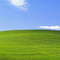 Microsoft Changes Windows XP Plans, Suggests Users Are Finally Moving to Windows 8