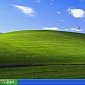 Microsoft Cuts Windows XP Support Prices