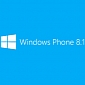 Microsoft Delays Windows Phone 8.1 Developer Preview – Report