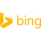 Microsoft Reveals Funny Bing Search Stats