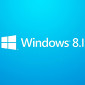 Microsoft Talks DPI Scaling Improvements in Windows 8.1