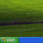 Microsoft: Windows XP Has Become a Relic