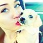 Miley Cyrus Adopts a New Puppy