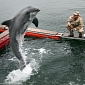 Mine-Hunting Dolphins Are Losing Their Jobs to Robots
