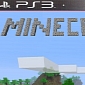 Minecraft Already Sold over One Million Copies on PS3 Since December 17