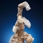 Mineral Specimen Dubbed Godzilla the Hockey Goalie to Be Auctioned Off