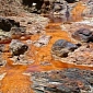 Mining Destroys 25% of Southern West Virginia’s Rivers and Streams