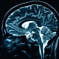 Mirror Neuron Malfunctions May Underlie Autism