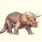 Missing Link in the Evolution of the Horned Dinosaurs Discovered!