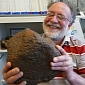 Missouri Reveals Large, Rare Pallasite Meteorite