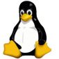 Mobile Linux Is Trying to Conquer the Market