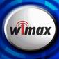 Mobile WiMax: Who Goes Where?