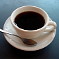 Moderate Coffee Intake Does Not Lead to Dehydration