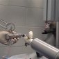 Monkey Thinks Its Way towards Food