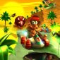 Monkeys Behind the Wheel -Diddy Kong Racing DS