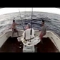 Monster Marlin Flies onto a Boat, Angler Jumps Out – Video