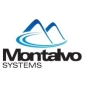 Montalvo Cooks Opteron and Cell Hybrid Processor, Takes Intel Down