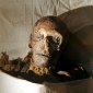 Mummy Analysis Shows Ancient Egyptian Queen Was Fat, Balding and Bearded