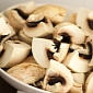 Mushrooms Exposed to UV Light Pack High Doses of Vitamin D