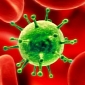 Mutant MERS Virus Strain Could Be Used to Manufacture a Vaccine Against the Disease